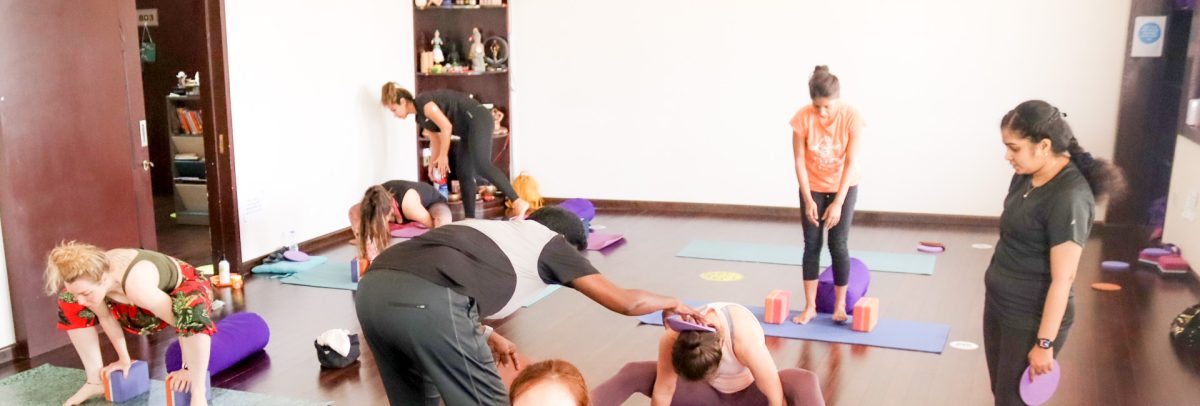 Beyond Asana: Essential Skills That Shape Exceptional Yoga Teachers