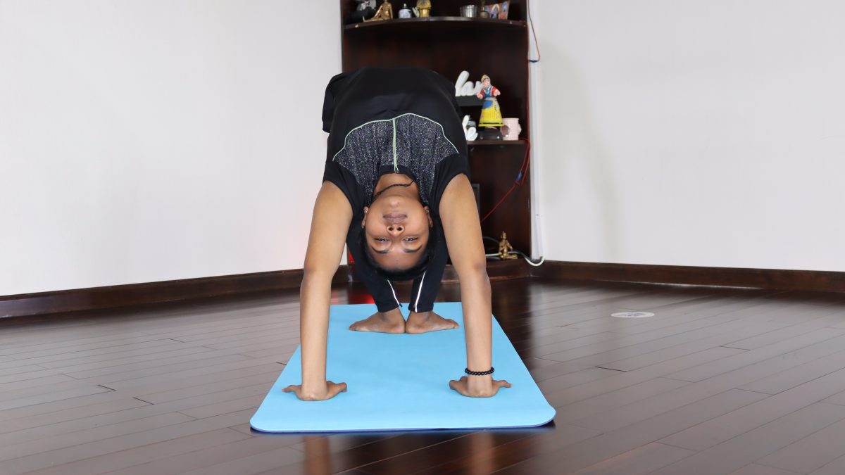 From Root to Crown: Understanding the Chakra System and Aligning Your Energy Through Yoga at Thousand Petaled Lotus